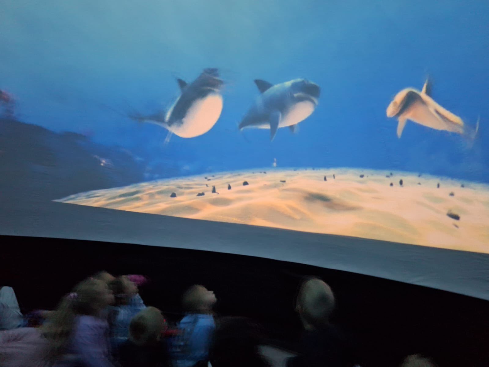 Planetarium 2025 Planetarium 2025